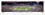 Michigan Wolverines 2024 Rose Bowl Champions CFP Semifinal Celebration Panorama - 757 Sports Collectibles