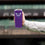 Charlotte Hornets 20oz Flipside Powder Coat Tumbler - Sports Gifts, Sports Memorabilia, Sports Collectibles, Fan Shop