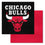 NBA - Chicago Bulls Team Carpet Tiles