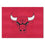 NBA - Chicago Bulls All-Star Mat