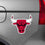 NBA - Chicago Bulls Large Team Logo Magnet - Sports Gifts, Sports Memorabilia, Sports Collectibles, Fan Shop