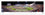 Virginia Cavaliers Field Storming Football Panoramic Picture - Scott Stadium Fan Cave Decor - Sports Gifts, Sports Memorabilia, Sports Collectibles, Fan Shop