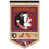 College Flags & Banners Co. Florida State FSU Noles Heritage History Banner Pennant - Sports Collectibles, Sports Memorabilia, Sports Fan Shop, Sports Gifts