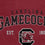 NCAA South Carolina Gamecocks Vintage Arch Block Ultra Soft Blanket - Sports Gifts, Sports Memorabilia, Sports Collectibles, Fan Shop