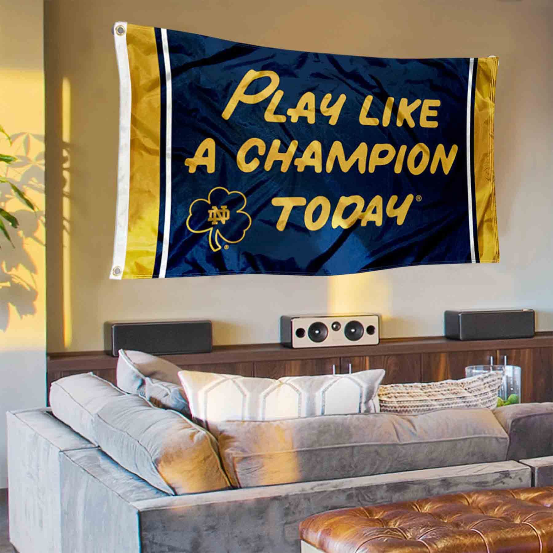 College Flags & Banners Co. Irish Play Like a Champion Banner and Tapestry Wall Tack Pads - Sports Collectibles, Sports Memorabilia, Sports Fan Shop, Sports Gifts