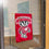 College Flags & Banners Co. Wisconsin Badgers Bucky Banner for Windows Doors and Walls - Sports Collectibles, Sports Memorabilia, Sports Fan Shop, Sports Gifts