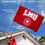 College Flags & Banners Co. Loyola Marymount Lions New LMU Logo Flag and Pole Bracket Mount Bundle - Sports Collectibles, Sports Memorabilia, Sports Fan Shop, Sports Gifts