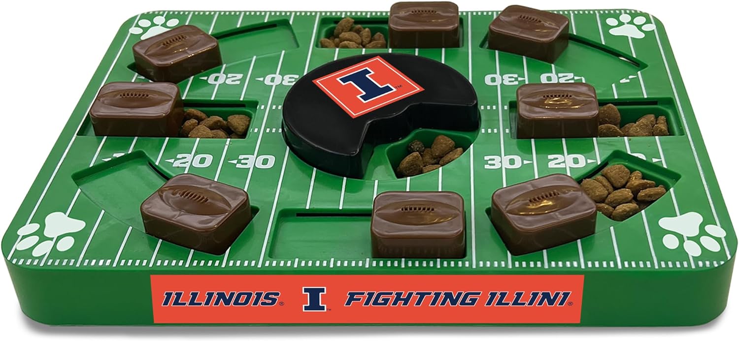 Illinois Puzzle Toy