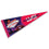 WinCraft Super 2024 Bowl LVIII Official Logo Pennant - Sports Collectibles, Sports Memorabilia, Sports Fan Shop, Sports Gifts