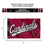 WinCraft Arizona Cardinals Script Logo Premium Flag - Sports Collectibles, Sports Memorabilia, Sports Fan Shop, Sports Gifts