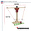 Wild Sports NFL Washington Commanders Wooden Ring Swing Battle - Head-to-Head Ring Toss Hook & Ring Game for NFL Fans - Sports Collectibles, Sports Memorabilia, Sports Fan Shop, Sports Gifts
