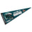Eagles Super Bowl Champions Full Size Large Pennant - Sports Collectibles, Sports Memorabilia, Sports Fan Shop, Sports Gifts