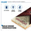 Wild Sports 2' x 4' Regulation Size College Set with Direct Print HD Team Graphics Great Gift for Any NCAA Fan! Bean Bag Toss Family Outdoor Game - Sports Collectibles, Sports Memorabilia, Sports Fan Shop, Sports Gifts