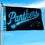 WinCraft Carolina Panthers Script Logo Premium Flag - Sports Collectibles, Sports Memorabilia, Sports Fan Shop, Sports Gifts