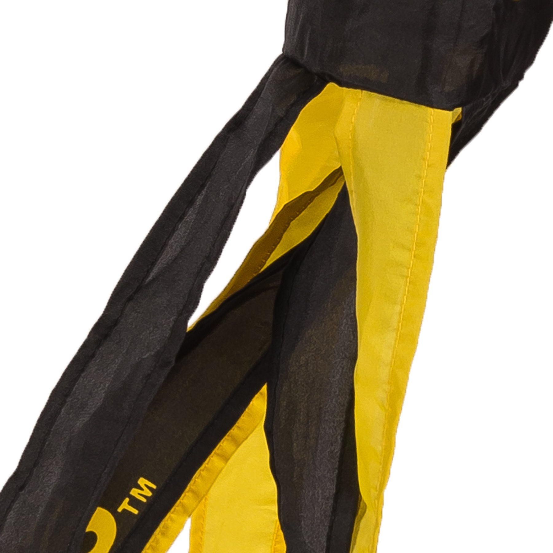 College Flags & Banners Co. Iowa 40 Inch Hawkeyes Windsock - Sports Collectibles, Sports Memorabilia, Sports Fan Shop, Sports Gifts