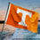 College Flags & Banners Co. Tennessee Volunteers Small 2x3 Foot Flag - Sports Collectibles, Sports Memorabilia, Sports Fan Shop, Sports Gifts