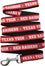Texas Tech Leash Pets First - Sports Collectibles, Sports Memorabilia, Sports Fan Shop, Sports Gifts