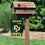 College Flags & Banners Co. Cal Poly Mustangs Welcome to Our Home Double Sided Garden Yard Flag - Sports Collectibles, Sports Memorabilia, Sports Fan Shop, Sports Gifts