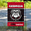 Georgia Bulldogs 2022 College Football National Champions Double Sided Garden Banner Flag - Sports Collectibles, Sports Memorabilia, Sports Fan Shop, Sports Gifts