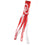 College Flags & Banners Co. Oklahoma Sooners Windsock - Sports Collectibles, Sports Memorabilia, Sports Fan Shop, Sports Gifts