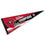 Georgia Bulldogs College Football 4 Time National Champions Pennant Banner Flag - Sports Collectibles, Sports Memorabilia, Sports Fan Shop, Sports Gifts