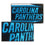 WinCraft Carolina Panthers Embroidered and Sewn Pennant - Sports Collectibles, Sports Memorabilia, Sports Fan Shop, Sports Gifts