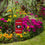 College Flags & Banners Co. Georgia Bulldogs Mini Garden and Flower Pot Flag Topper - Sports Collectibles, Sports Memorabilia, Sports Fan Shop, Sports Gifts