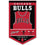 WinCraft Chicago Bulls Heritage History Banner Pennant - Sports Collectibles, Sports Memorabilia, Sports Fan Shop, Sports Gifts