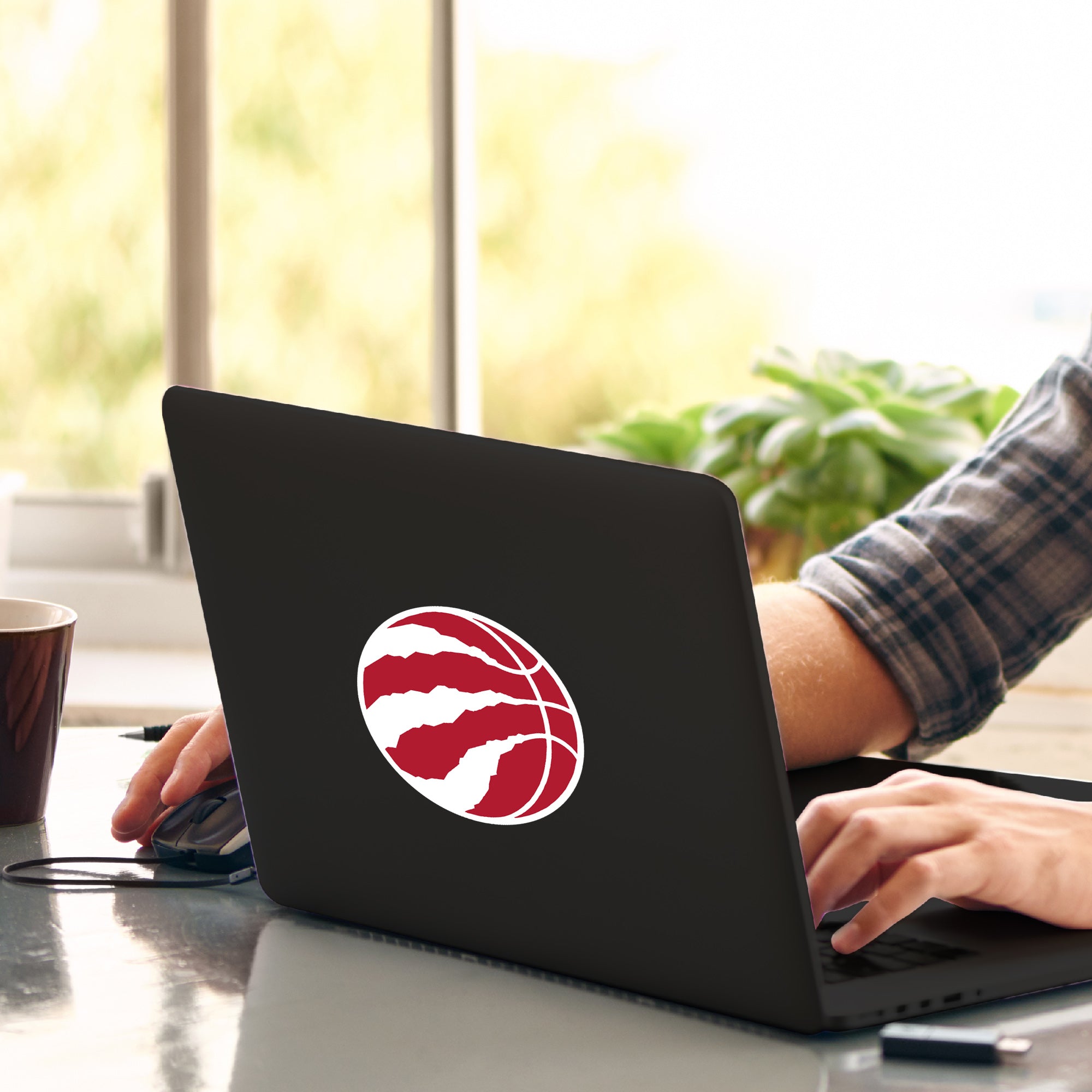 NBA - Toronto Raptors Matte Decal - Sports Gifts, Sports Memorabilia, Sports Collectibles, Fan Shop