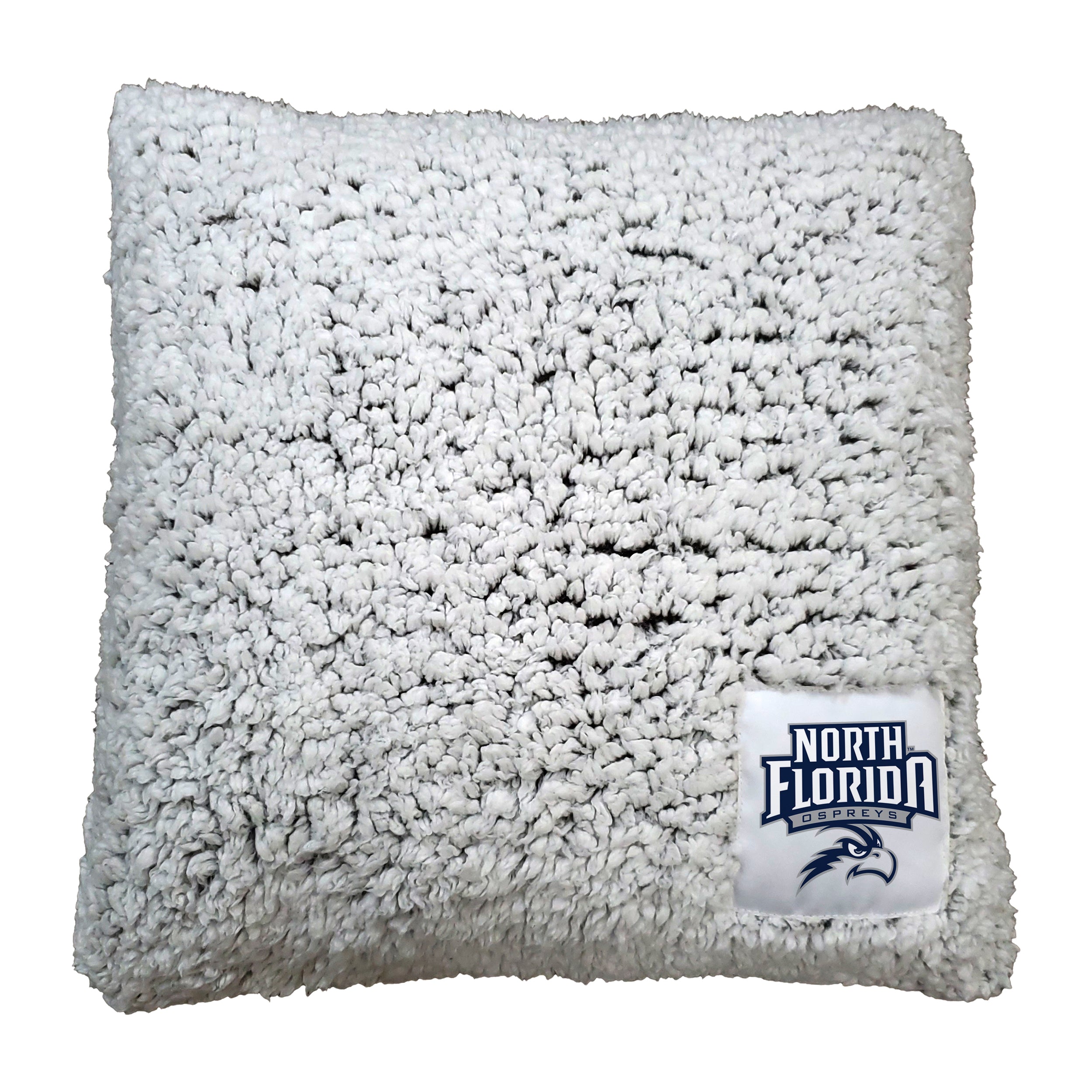 North Florida Frosty Throw Pillow
