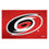 NHL - Carolina Hurricanes Starter Mat