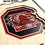 YouTheFan NCAA South Carolina Gamecocks 3D Stadium 8x32 Banner - Brice Stadium - Sports Collectibles, Sports Memorabilia, Sports Fan Shop, Sports Gifts