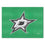 NHL - Dallas Stars All-Star Mat
