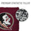YouTheFan NCAA Florida State Seminoles Cornhole Bags - 4PK - Maroon - Sports Collectibles, Sports Memorabilia, Sports Fan Shop, Sports Gifts