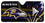 Baltimore Ravens Auto Sun Shade - 59"x27" (CDG) - 757 Sports Collectibles