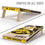YouTheFan NCAA Iowa Hawkeyes 2’ x 4’ Professional Wood Cornhole Game with Logo Bags - Sports Collectibles, Sports Memorabilia, Sports Fan Shop, Sports Gifts