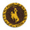 YouTheFan NCAA Wyoming Cowboys Flimzee Bean-Bag Flying Disc - Sports Collectibles, Sports Memorabilia, Sports Fan Shop, Sports Gifts