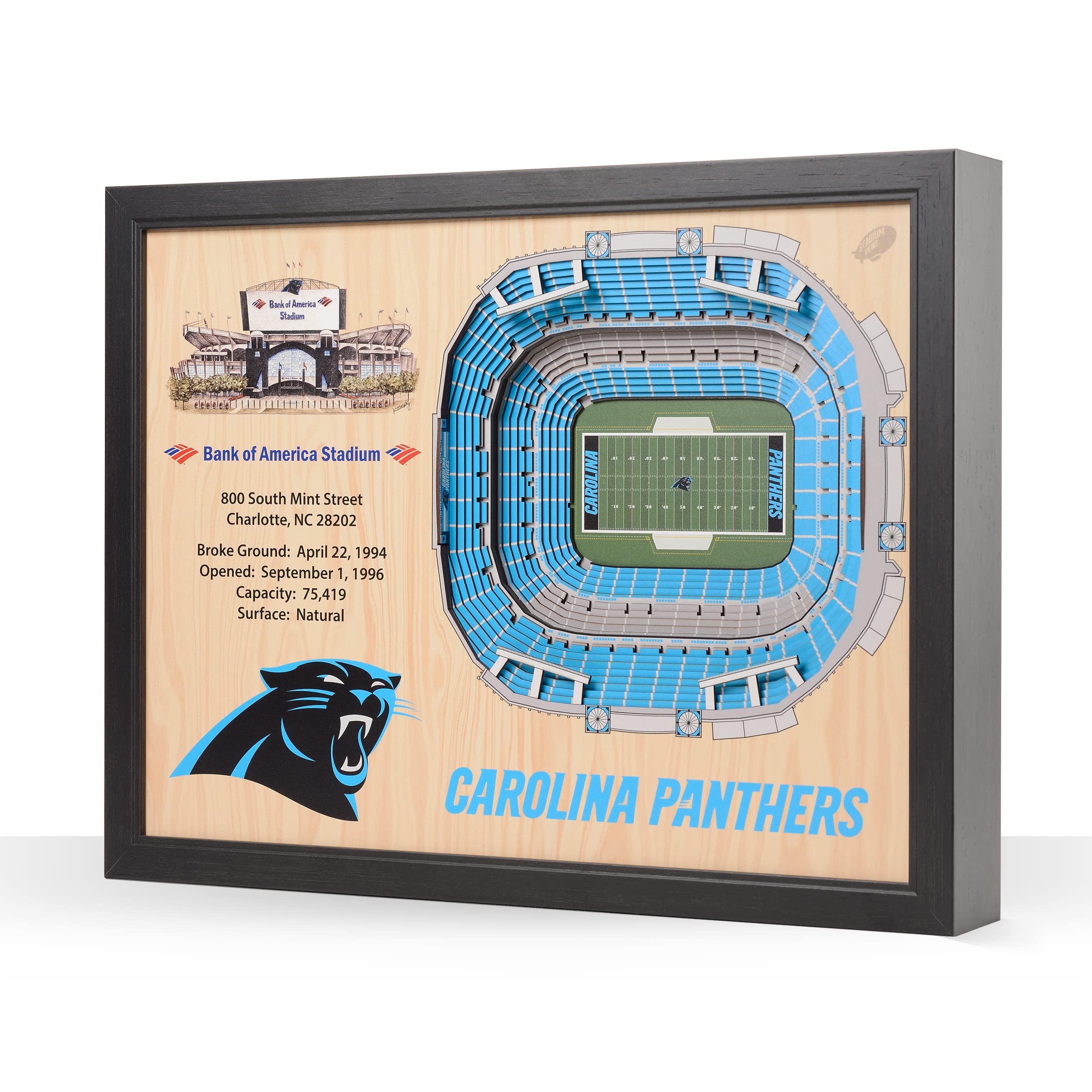 NFL Carolina Panthers 25-Layer Stadiumviews 3D Wall Art - Sports Collectibles, Sports Memorabilia, Sports Fan Shop, Sports Gifts