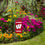College Flags & Banners Co. Wisconsin Badgers Mini Garden and Flower Pot Flag Topper - Sports Collectibles, Sports Memorabilia, Sports Fan Shop, Sports Gifts