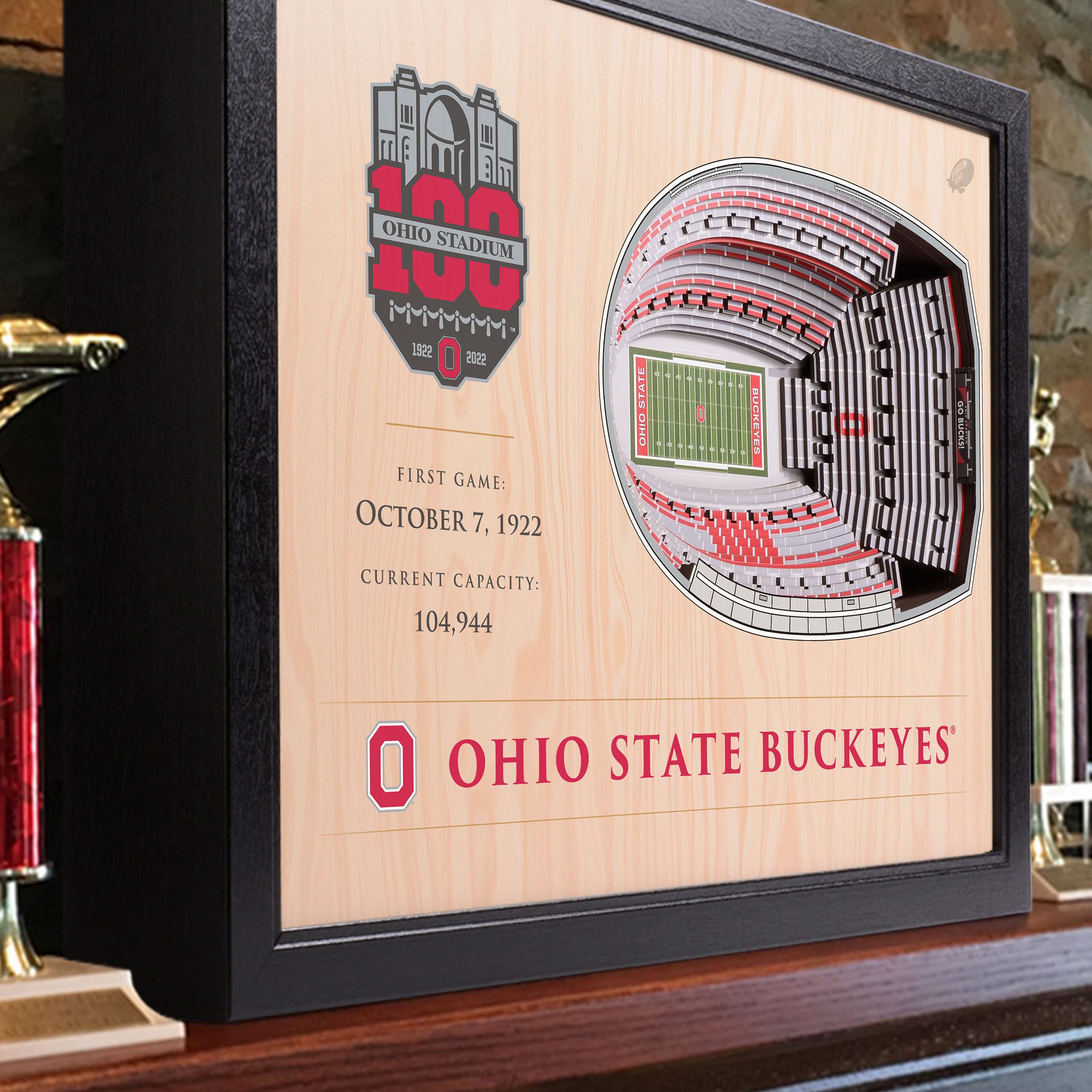 YouTheFan NCAA Ohio State Buckeyes 100th 25-Layer StadiumViews 3D Wall Art - Ohio Stadium - Sports Collectibles, Sports Memorabilia, Sports Fan Shop, Sports Gifts