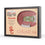 YouTheFan NCAA USC Trojans 25-Layer StadiumView 3D Wall Art , 25.5 x 3.5 x 19.5 Inches ,Brown - Sports Collectibles, Sports Memorabilia, Sports Fan Shop, Sports Gifts