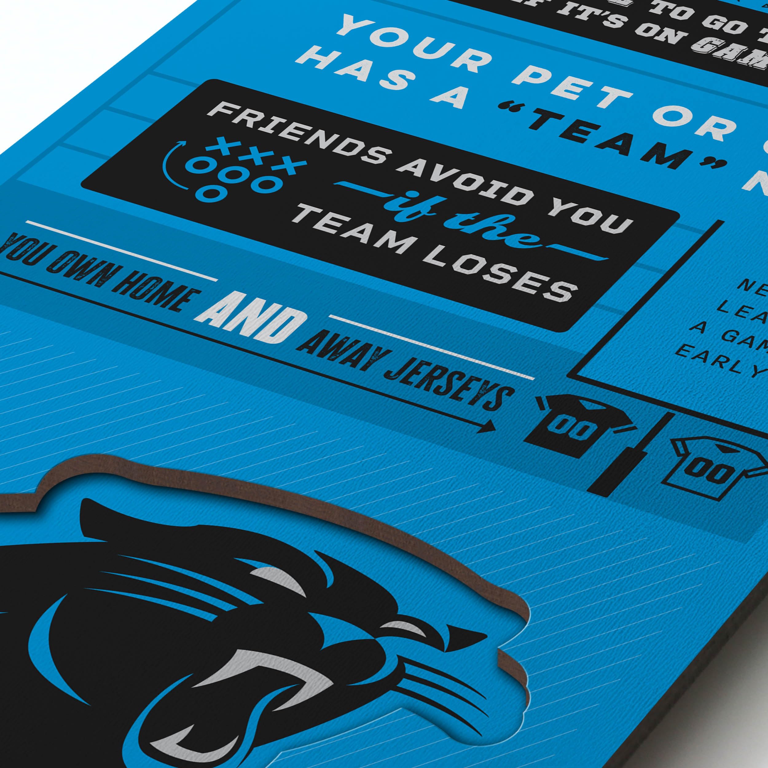 YouTheFan Officially-licensed NFL Carolina Panthers 6x19 Top 10 Signs Banner - humorous descriptions - fun sports fan phrases, original design, indoor team wall decor fan gift - Sports Collectibles, Sports Memorabilia, Sports Fan Shop, Sports Gifts