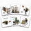 YouTheFan NCAA Central Florida Knights Licensed Memory Match Game - Sports Collectibles, Sports Memorabilia, Sports Fan Shop, Sports Gifts