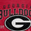 NCAA Georgia Bulldogs Vintage Arch Block Ultra Soft Blanket - Sports Gifts, Sports Memorabilia, Sports Collectibles, Fan Shop