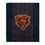 Pegasus Sports NFL Echo Team Wordmark Plush Blanket- Chicago Bears, Team Color, 60x70 - Sports Gifts, Sports Memorabilia, Sports Collectibles, Fan Shop