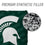 YouTheFan NCAA Michigan State Spartans Cornhole Bags - 4PK - Green - Sports Collectibles, Sports Memorabilia, Sports Fan Shop, Sports Gifts