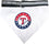 Texas Rangers Collar Bandana Pets First - Sports Collectibles, Sports Memorabilia, Sports Fan Shop, Sports Gifts