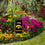 College Flags & Banners Co. Iowa Hawkeyes Mini Garden and Flower Pot Flag Topper - Sports Collectibles, Sports Memorabilia, Sports Fan Shop, Sports Gifts