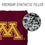 YouTheFan NCAA Minnesota Golden Gophers Cornhole Bags - 4PK - Maroon - Sports Collectibles, Sports Memorabilia, Sports Fan Shop, Sports Gifts
