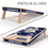 YouTheFan NCAA Penn State Nittany Lions 2’ x 4’ Professional Wood Cornhole Game with Logo Bags - Sports Collectibles, Sports Memorabilia, Sports Fan Shop, Sports Gifts